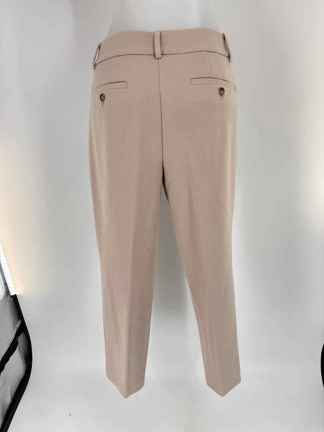 Size 10 LOFT Tan Pants