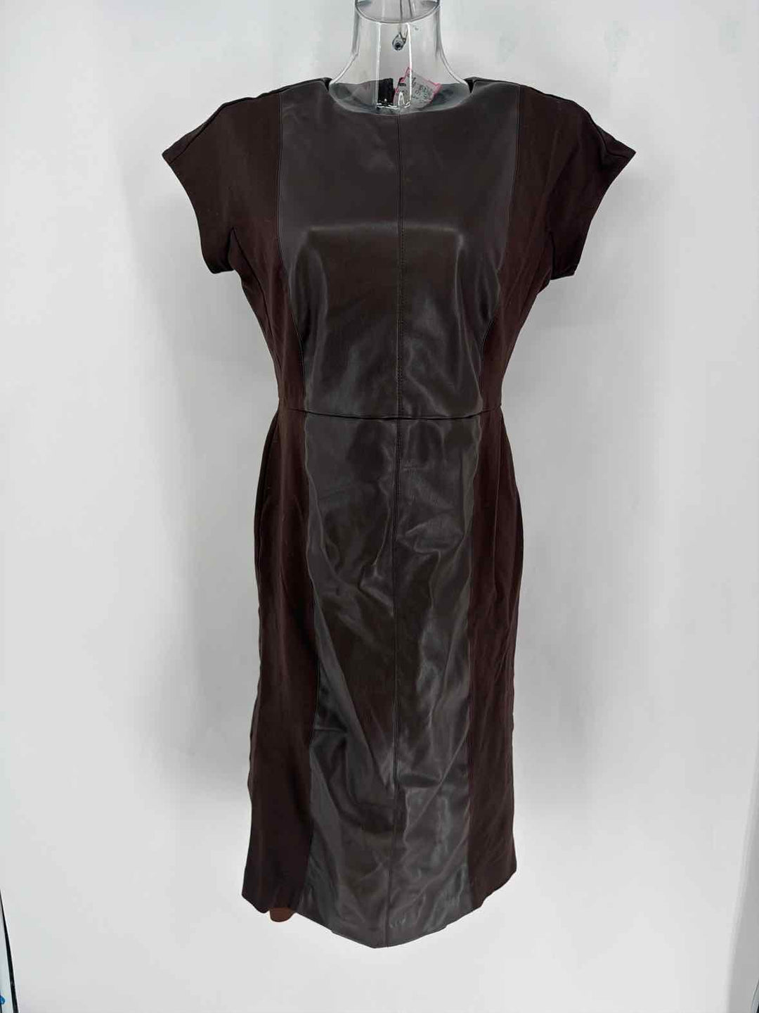 Size 10 Ann Taylor Brown Dress