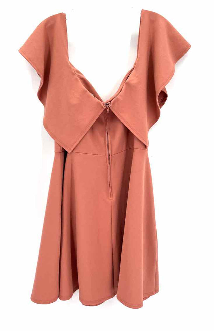 Size 2X Peach Dress