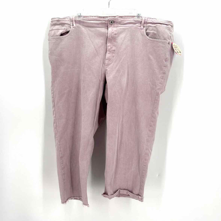 Size 24 J JILL Lavender Denim Jeans