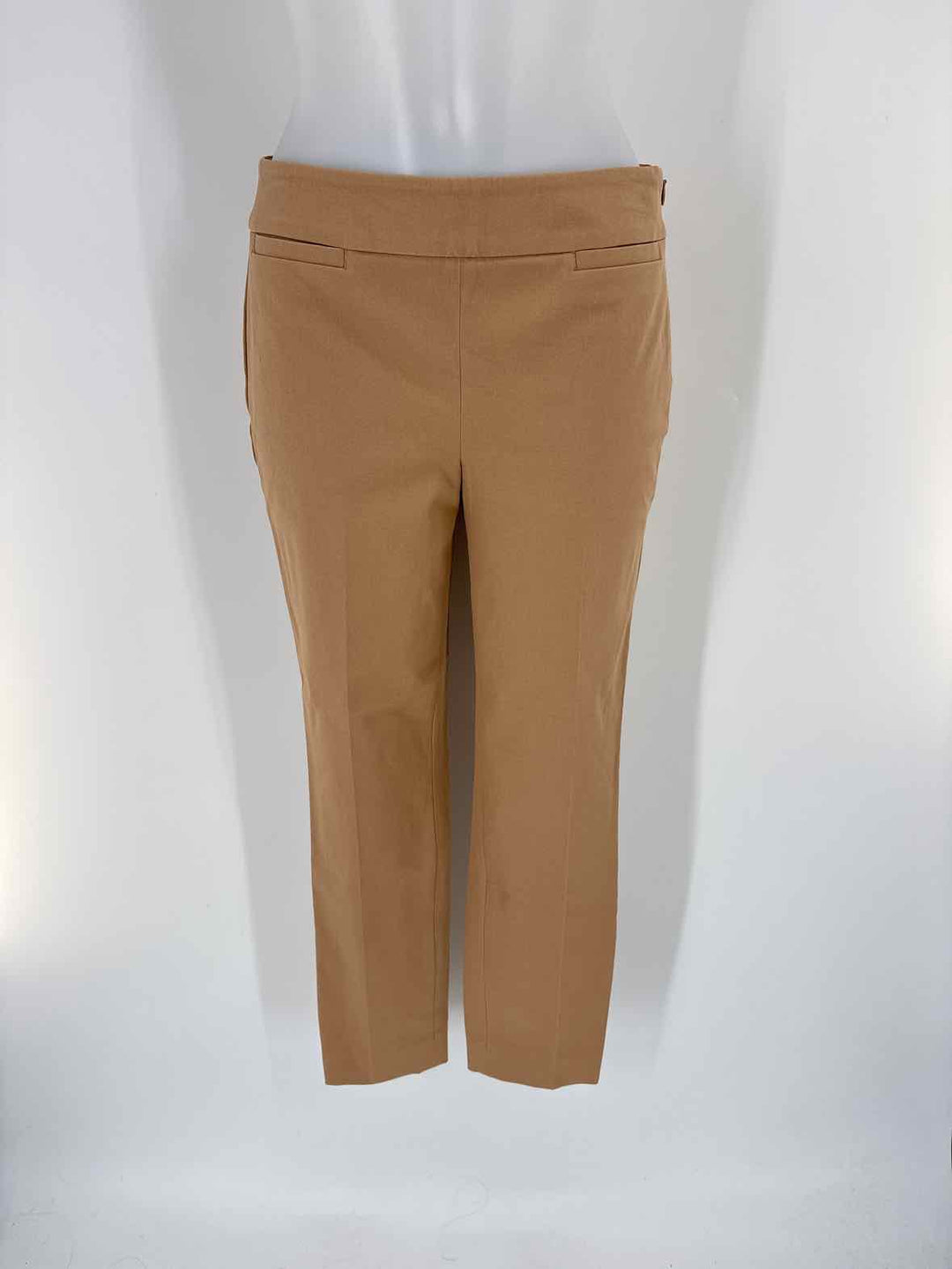Size 2 Talbots Tan Pants