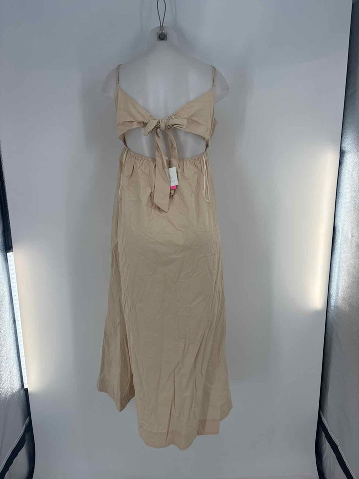Size L Brown Dress