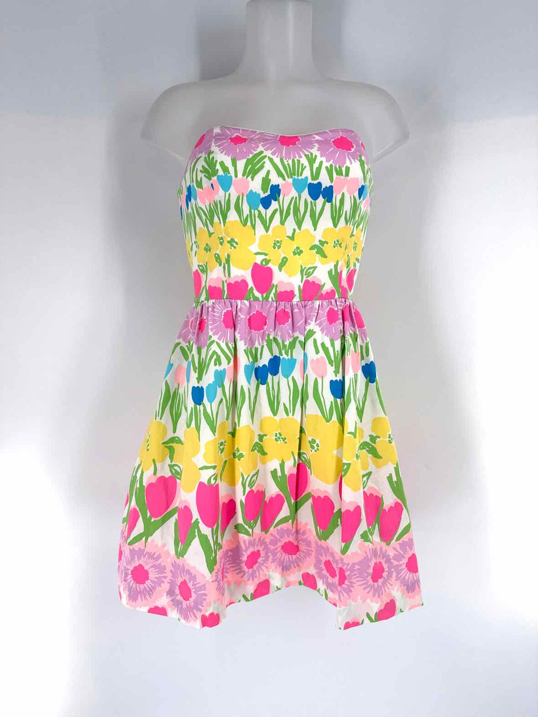 Size 2 Lilly Pulitzer Multi-Color Dress