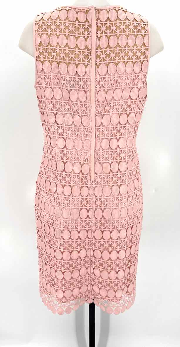 Size 10 RALPH LAUREN Pink Lace Mesh Dress