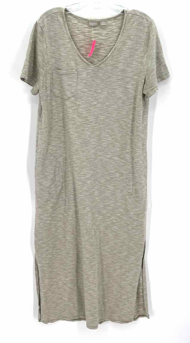 Size 12 Chico's Green Dress