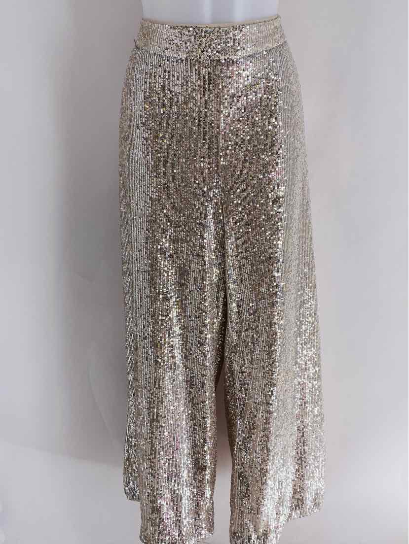 Size XL Banana Republic Silver Pants