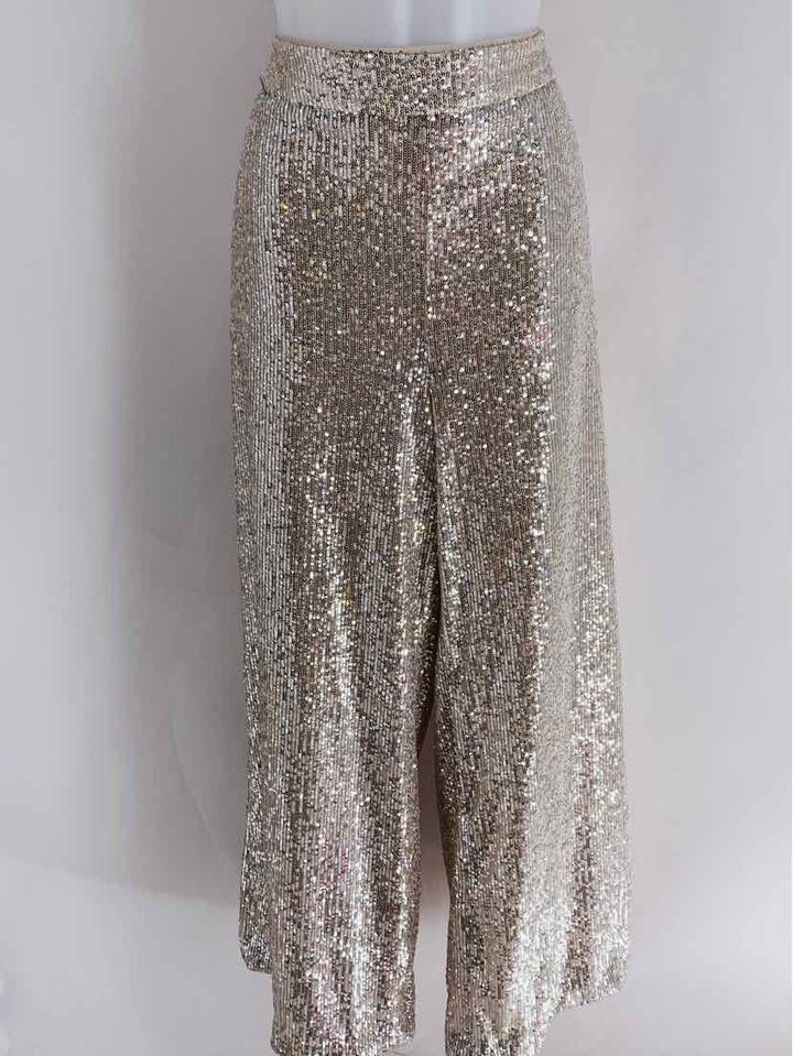 Size XL Banana Republic Silver Pants