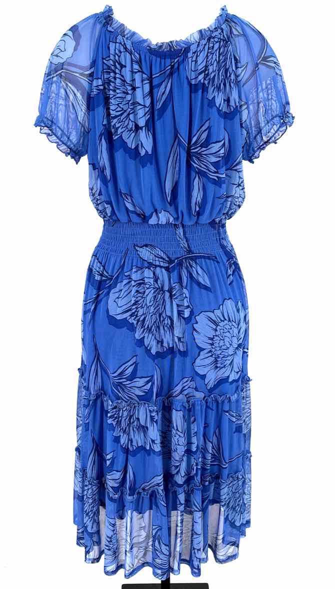 Size 10 Blue Mesh Dress