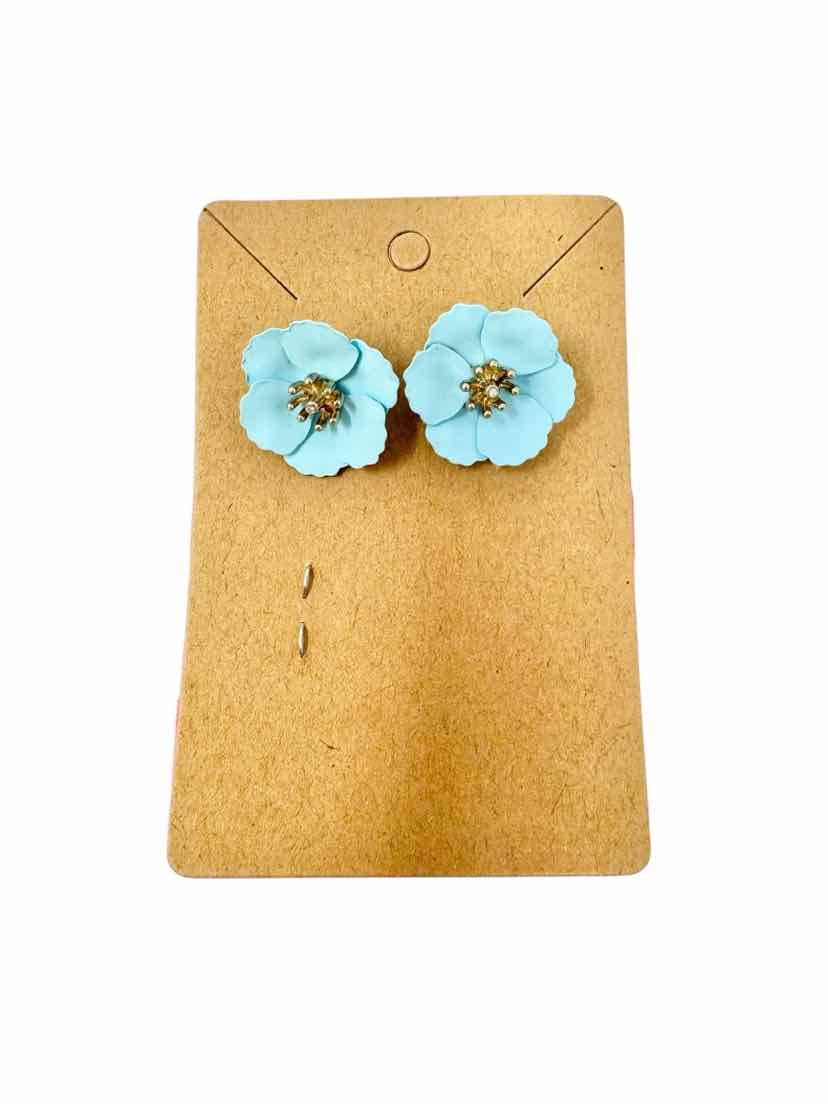 J Crew Earrings