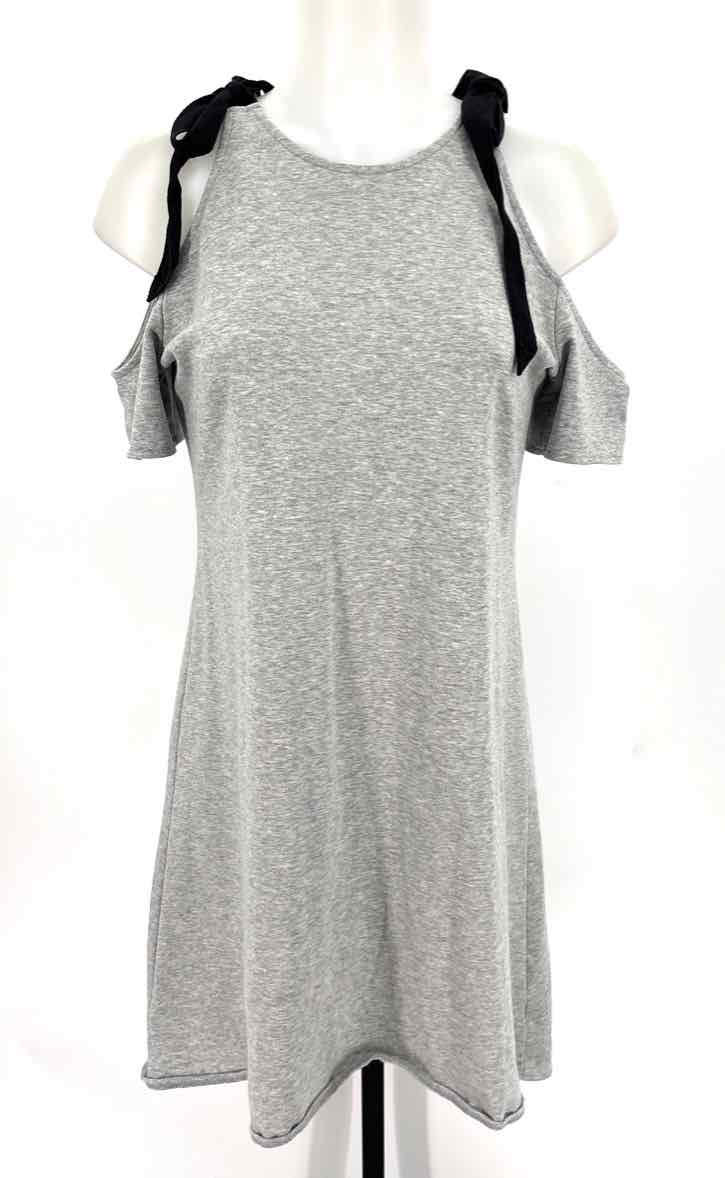 Size M Gray Dress