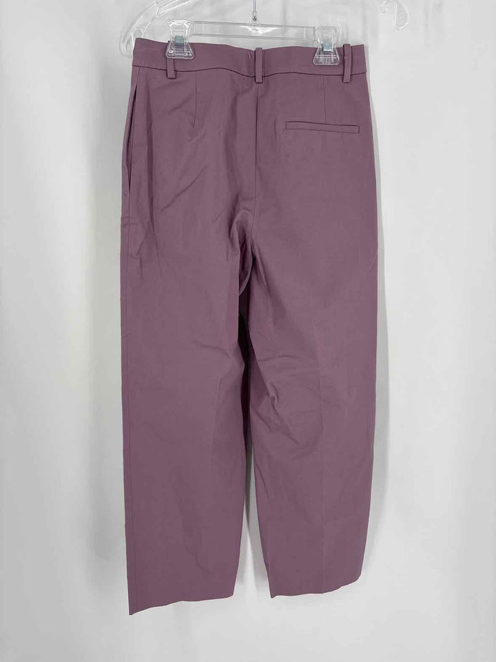 Size 00 THEORY Purple Pants