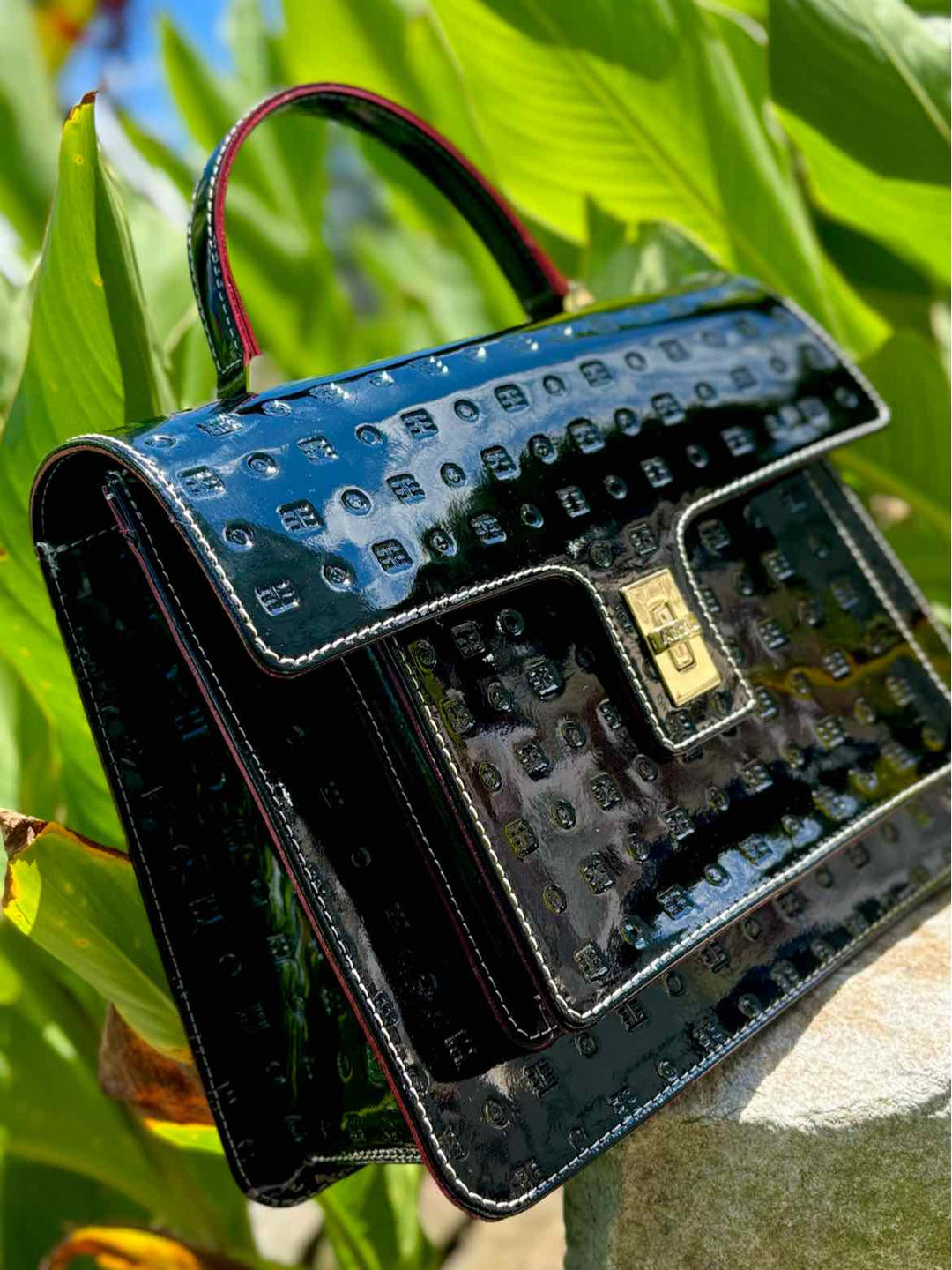 ARCADIA Purse