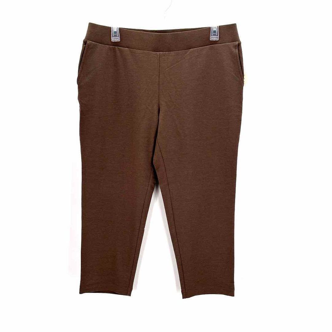 Size Petite J JILL Brown Pants