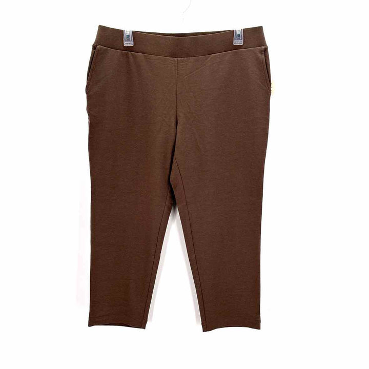 Size Petite J JILL Brown Pants