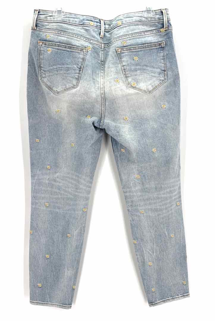Size 29 DRIFTWOOD Denim Pants