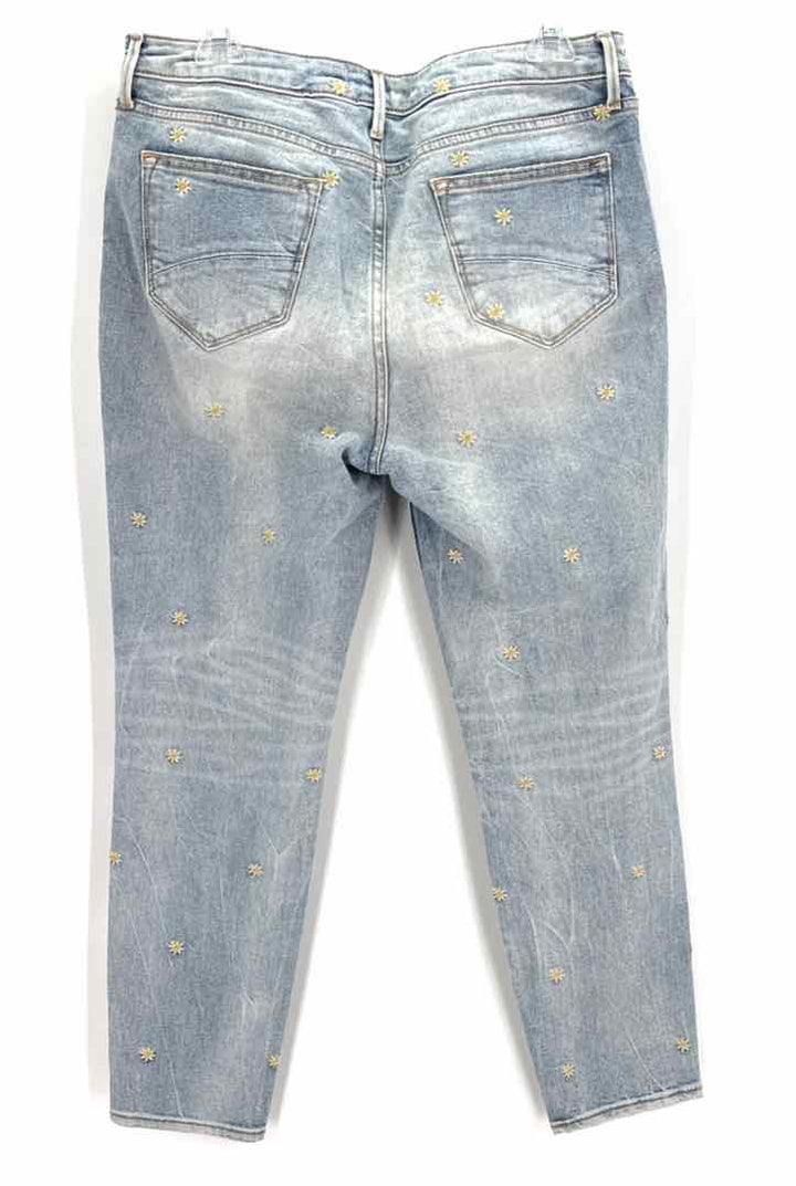Size 29 DRIFTWOOD Denim Pants