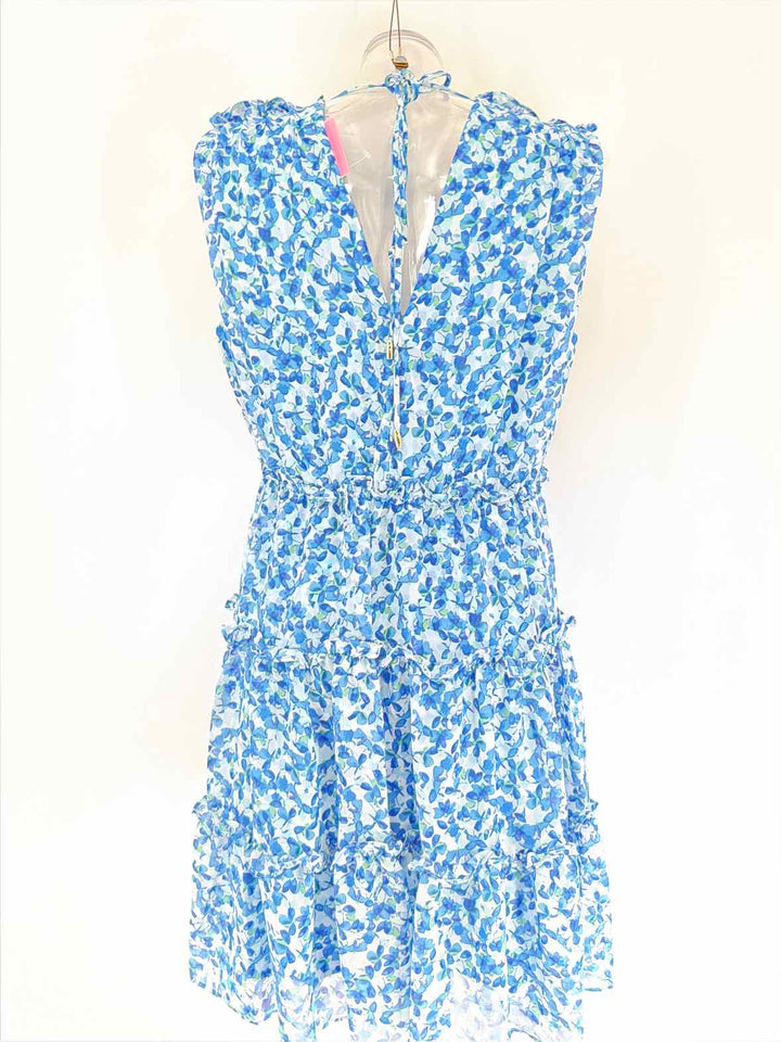 Size L TAYLOR Blue Dress
