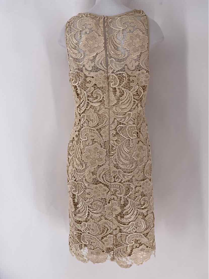 Size 12 Adrianna Papell Ivory Knit Lace Dress