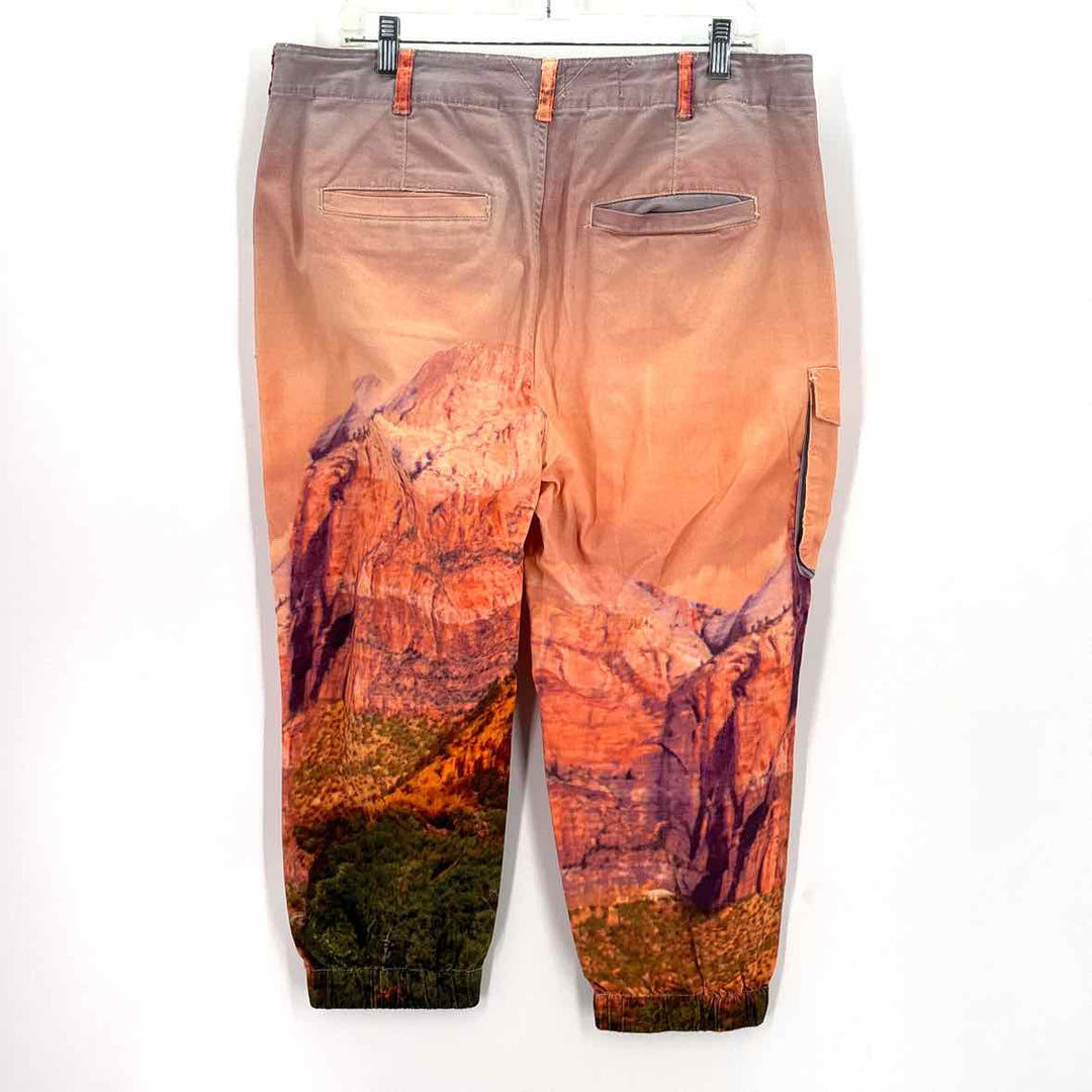 Size 31 Pilcro & the Letterpress Orange Pants