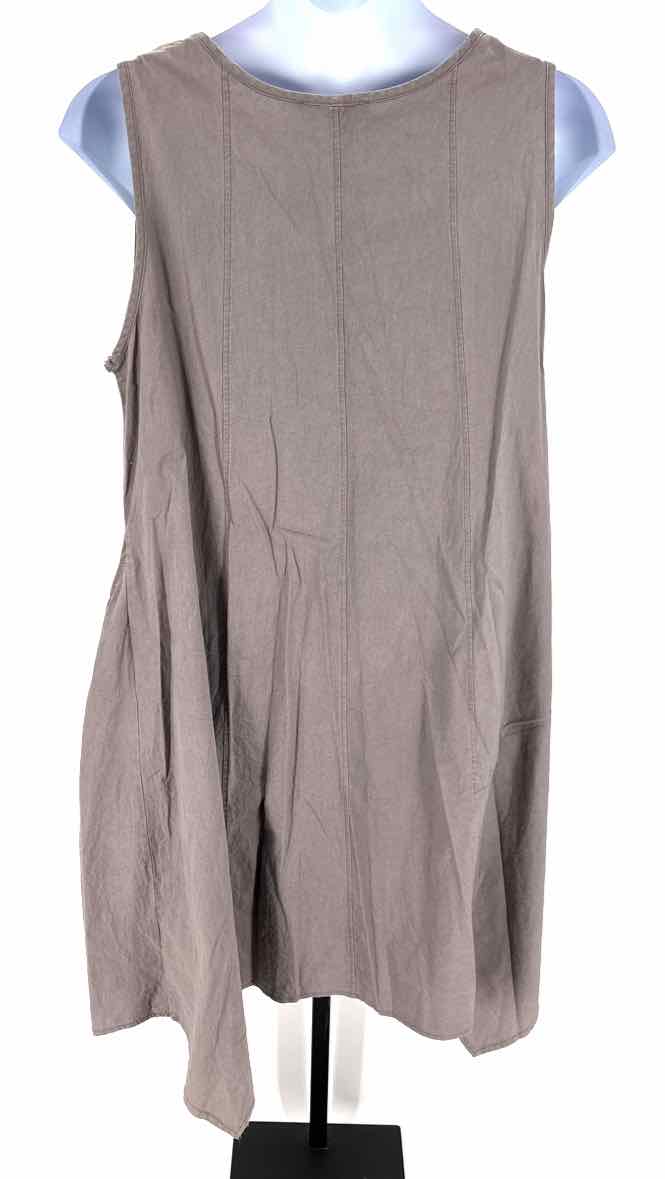 Size XL Gray Dress