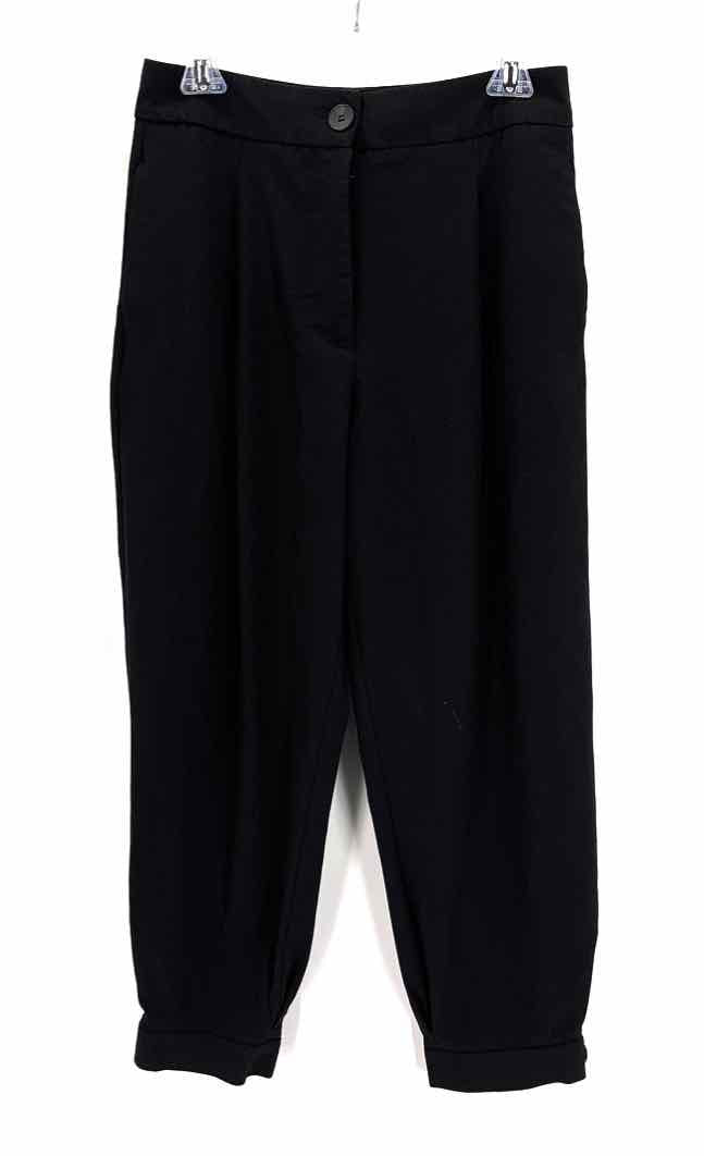 Size M ZARA Black Pants