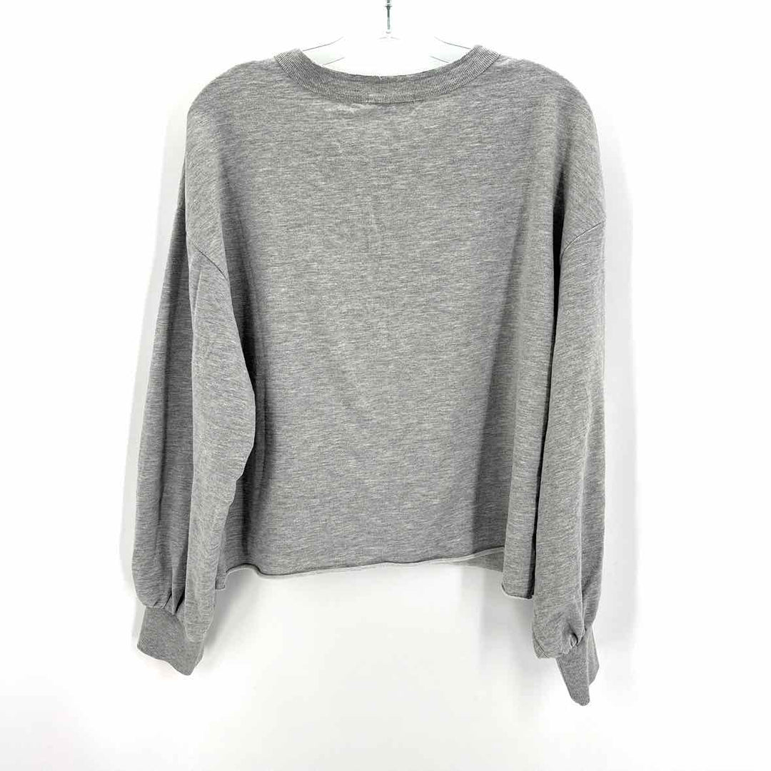 Size L Z SUPPLY Gray Sweater
