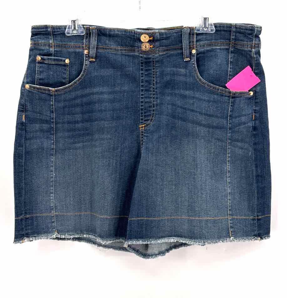 Size 14 Chico's Blue Shorts