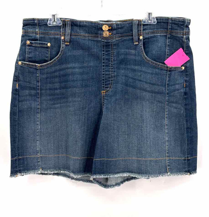 Size 14 Chico's Blue Shorts