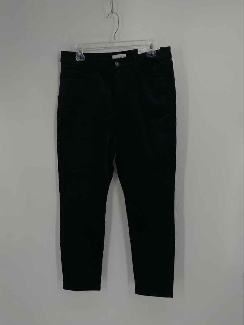Size 31 Ann Taylor Black Velour Pants
