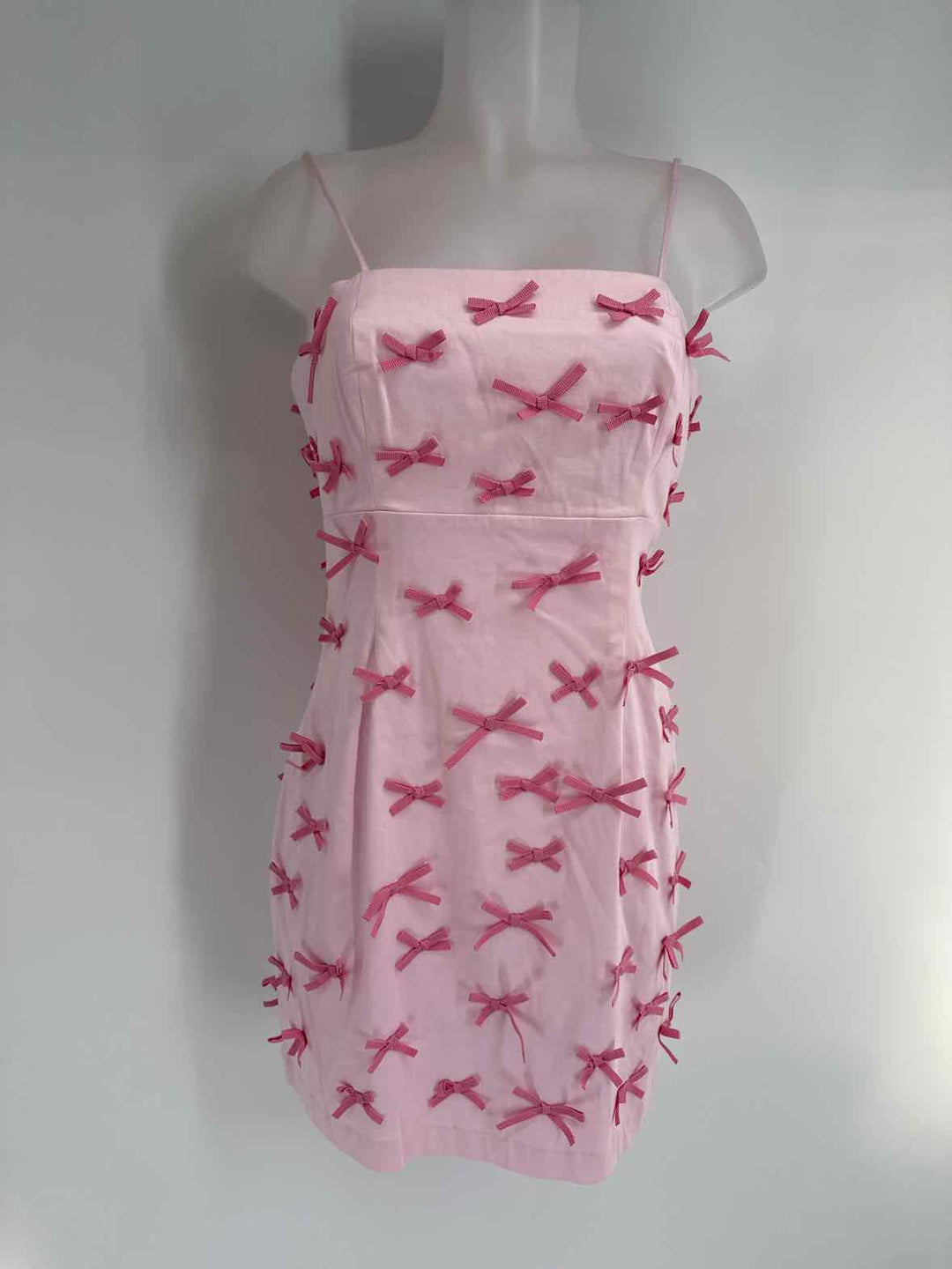Size 2 MAEVE Pink Dress