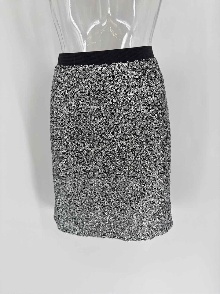 Size 16 Ann Taylor Silver Skirt