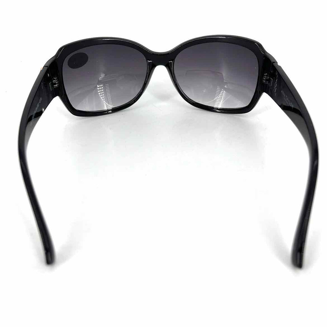 Ann Taylor Sunglasses
