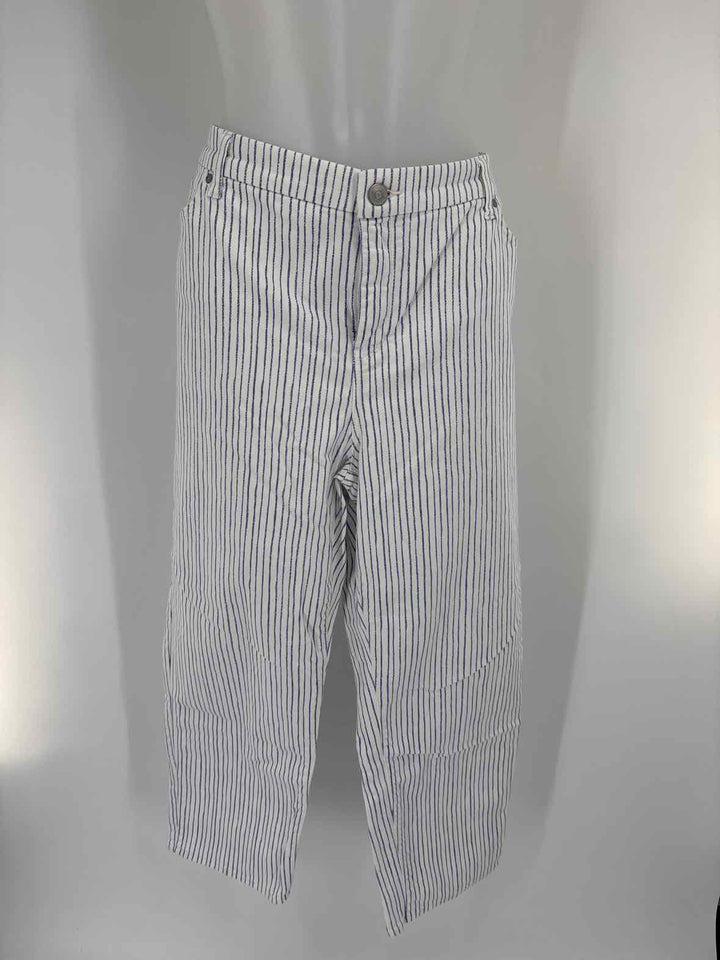 Size 1X Chico's Blue Pants