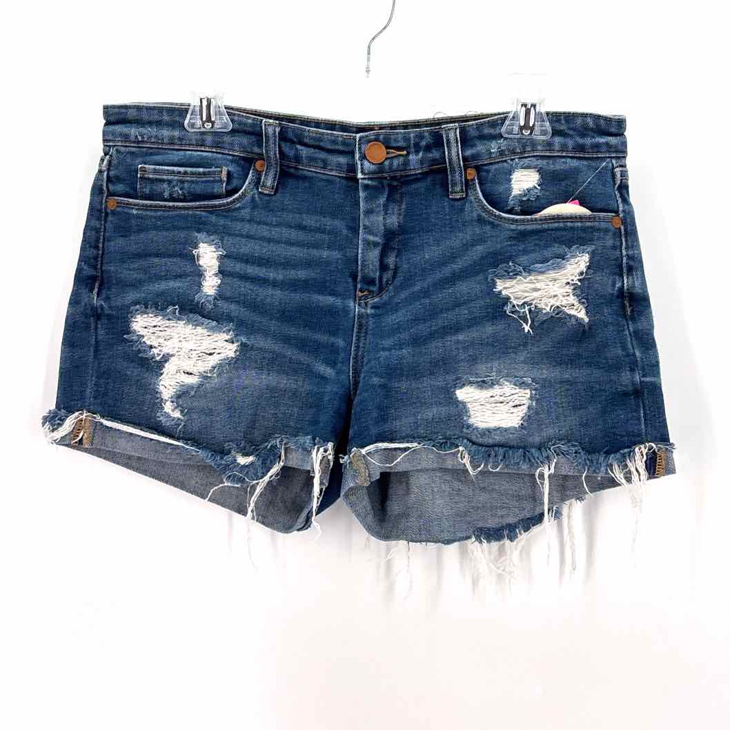 Size 29 BLANK NYC Denim Shorts