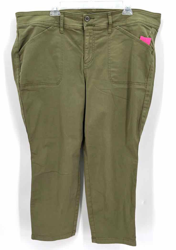 Size 22 Torrid Olive Jeans