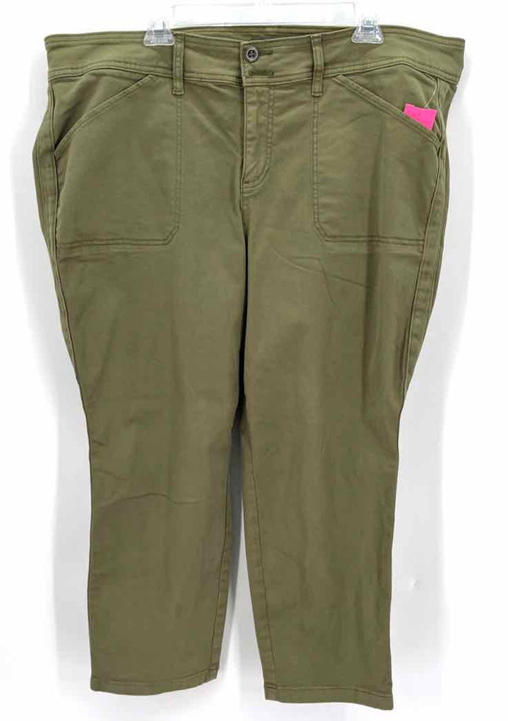 Size 22 Torrid Olive Jeans