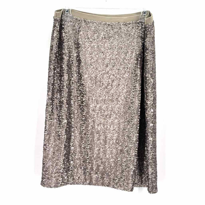 Size M J JILL Silver Skirt