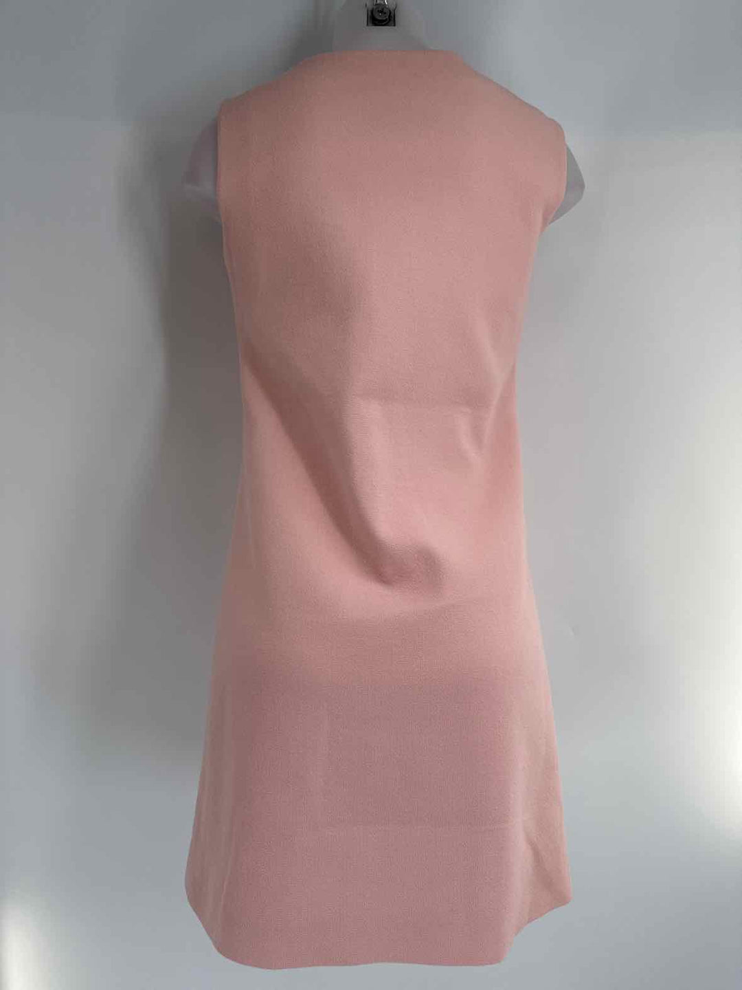 Size XS LANVIN Pink Dress