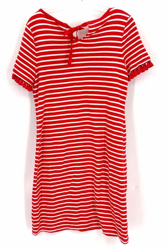 Size M Talbots Multi-Color Dress