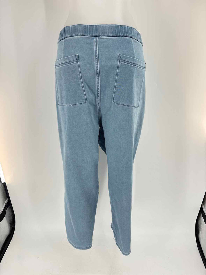 Size XL J JILL Denim Pants