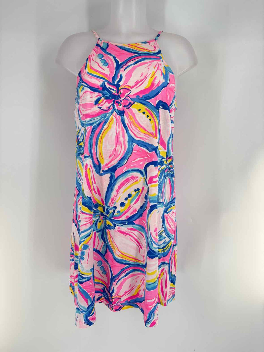 Size S Lilly Pulitzer Multi-Color Dress