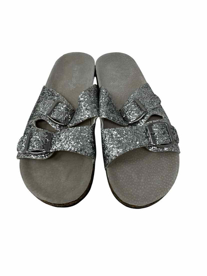 Shoe Size 9 Silver Sandals