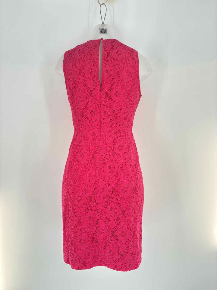 Size 6 J Crew Pink Dress