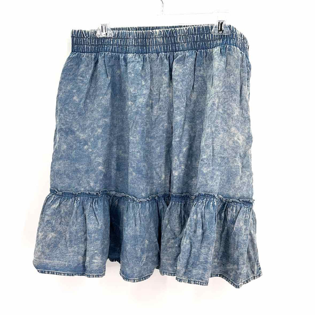 Size 1 Torrid Blue Chambray Dress