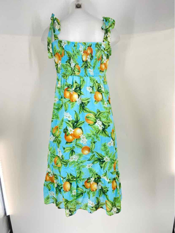 Size L BB Dakota Blue Print Dress