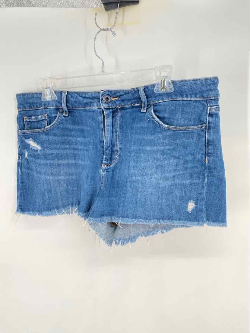 Size 31 PAIGE Denim Shorts
