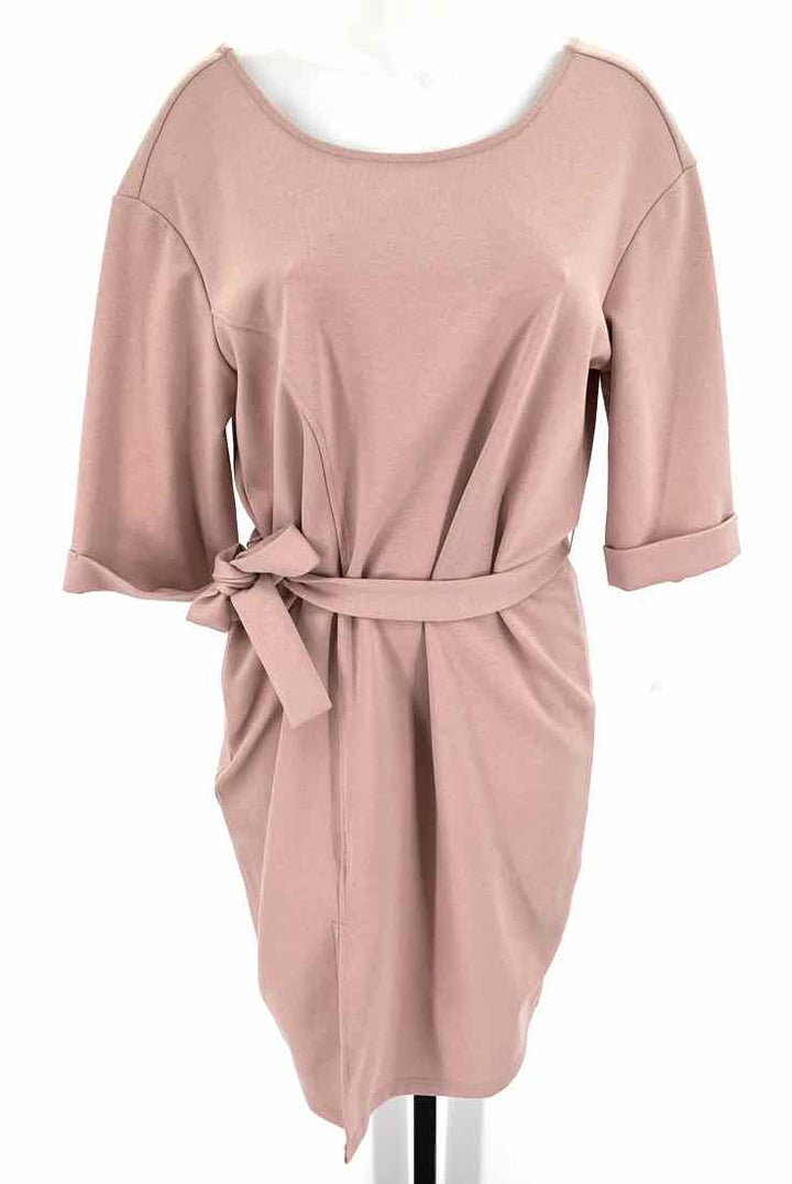 Size M Pink Dress