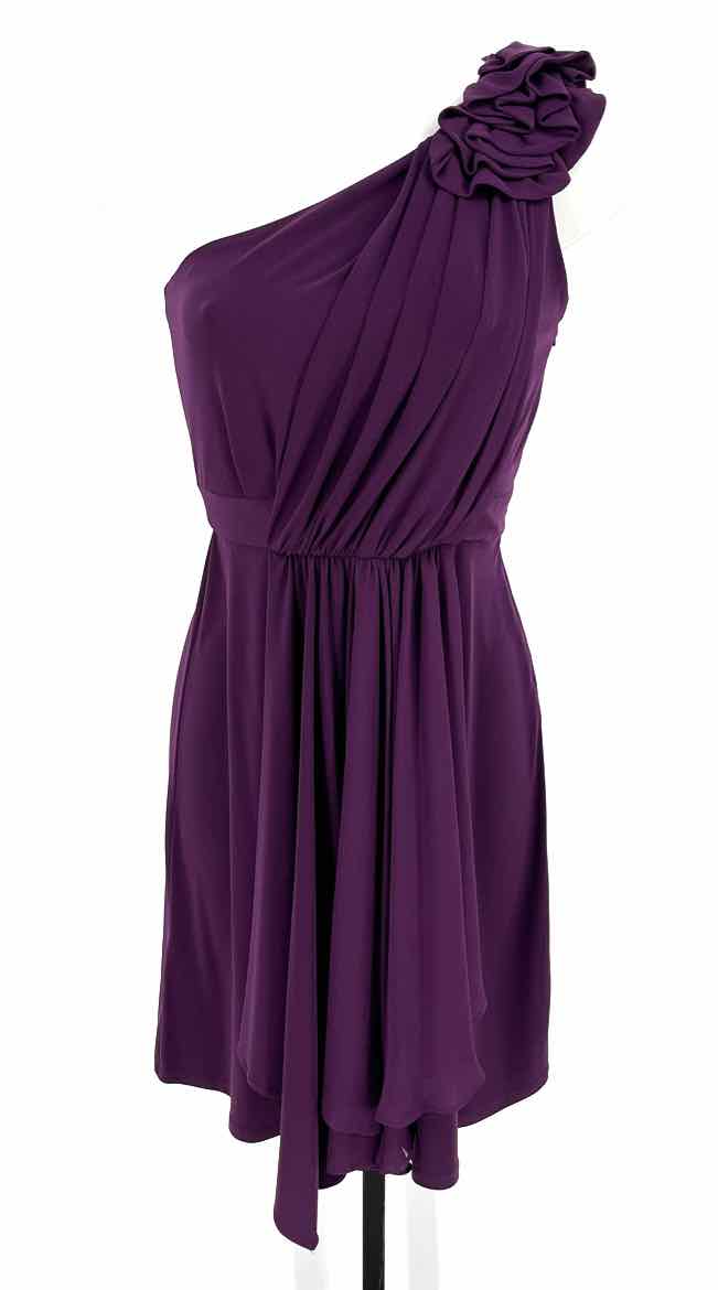 Size 4 MAX & CLEO Purple Dress