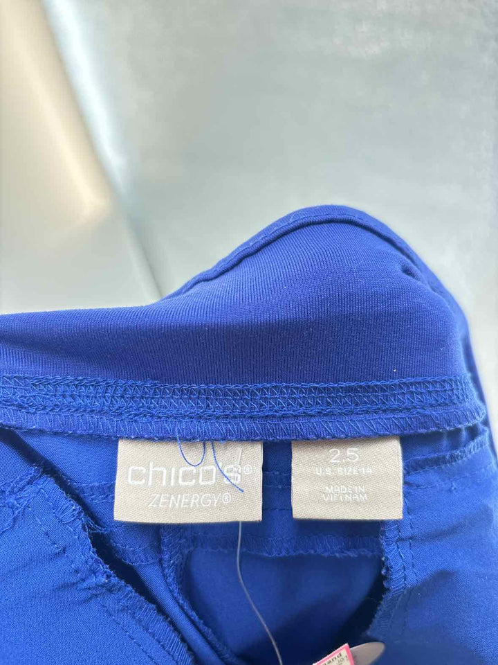 Size 14 Chico's Purple Pants