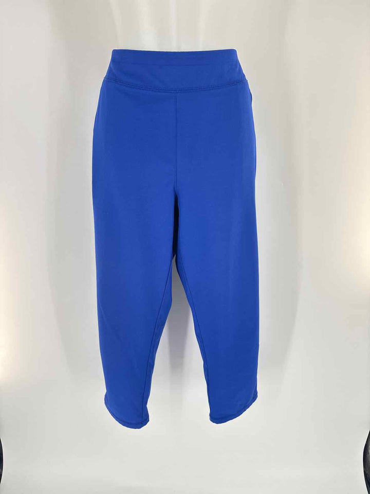 Size 14 Chico's Purple Pants